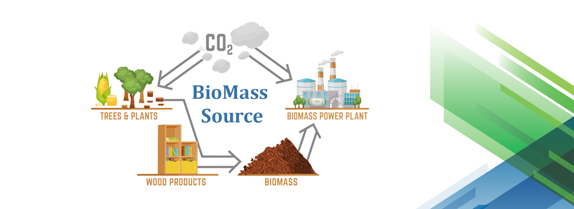 CYCLE OF BIOMASS ENERGY 